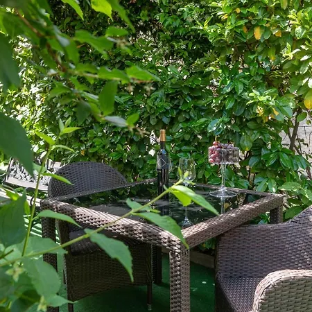 Orlic Apartment