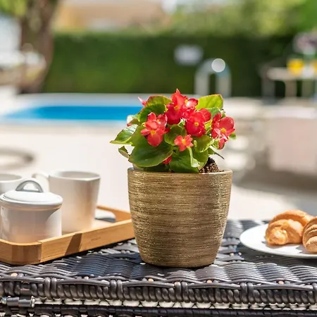 Orlic Apartman *